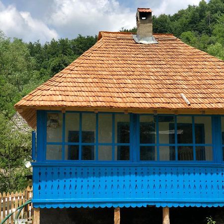 Casa Albastra Villa Baile Olanesti Ngoại thất bức ảnh