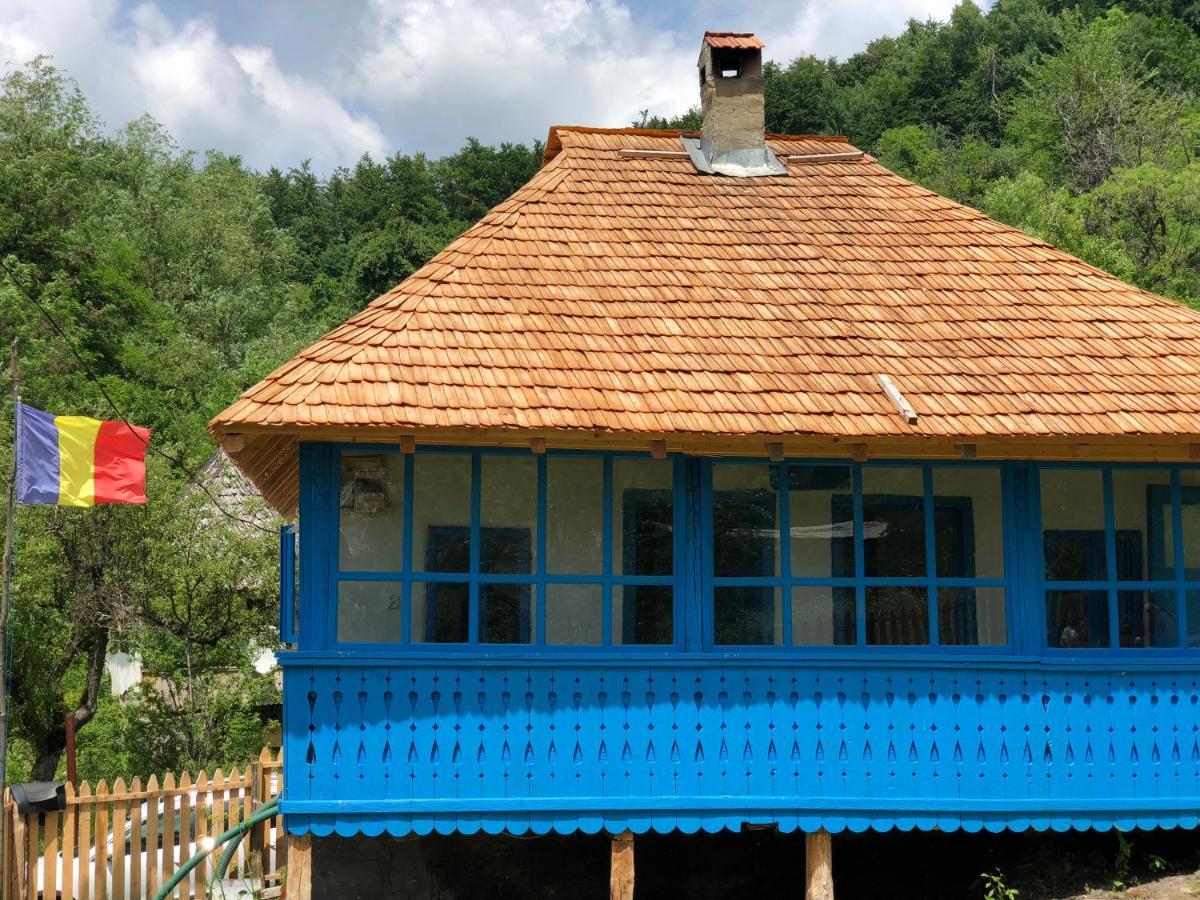 Casa Albastra Villa Baile Olanesti Ngoại thất bức ảnh