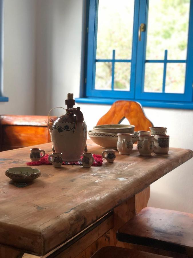 Casa Albastra Villa Baile Olanesti Ngoại thất bức ảnh
