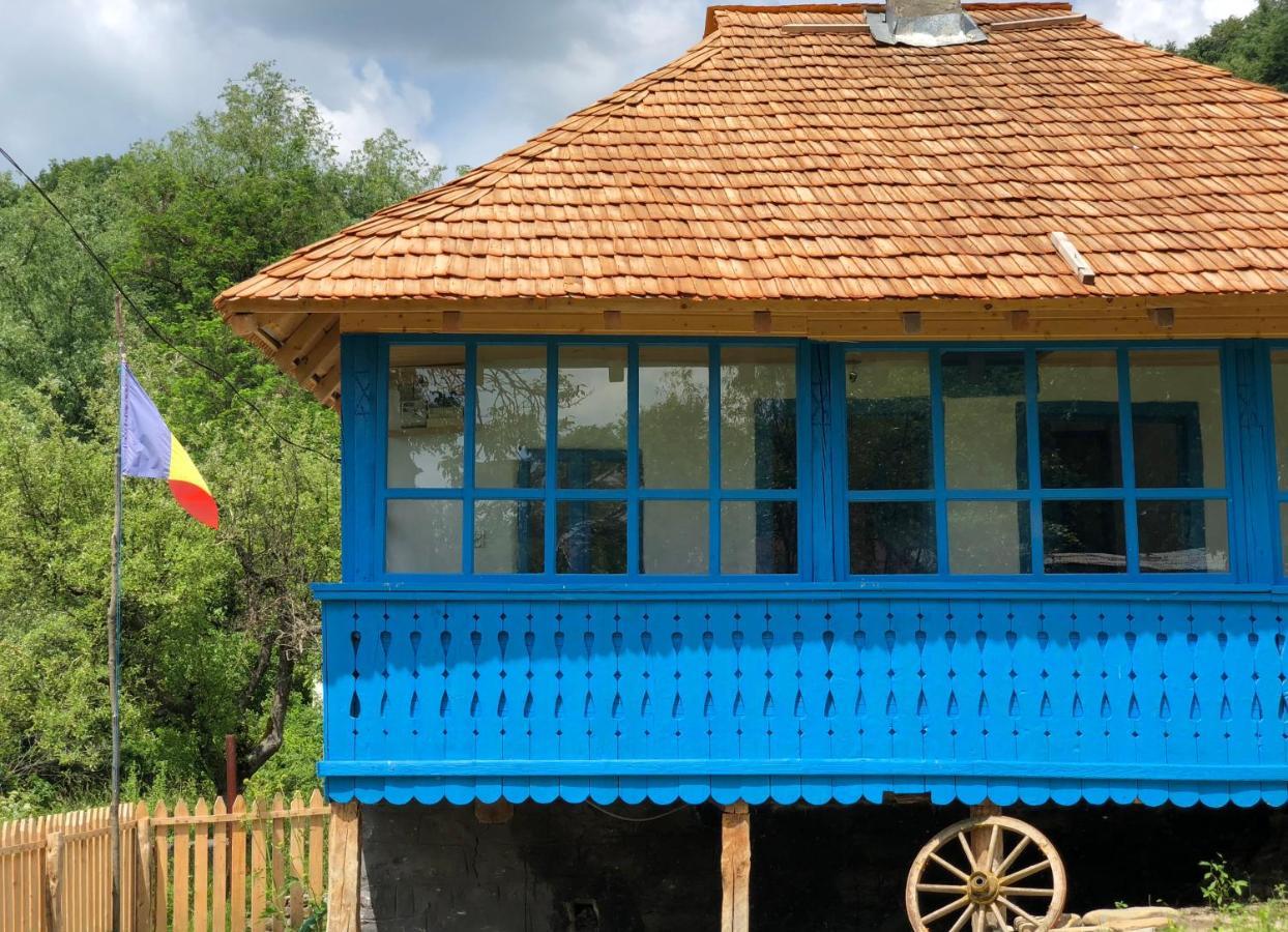 Casa Albastra Villa Baile Olanesti Ngoại thất bức ảnh