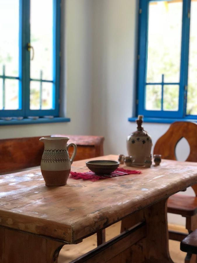 Casa Albastra Villa Baile Olanesti Ngoại thất bức ảnh