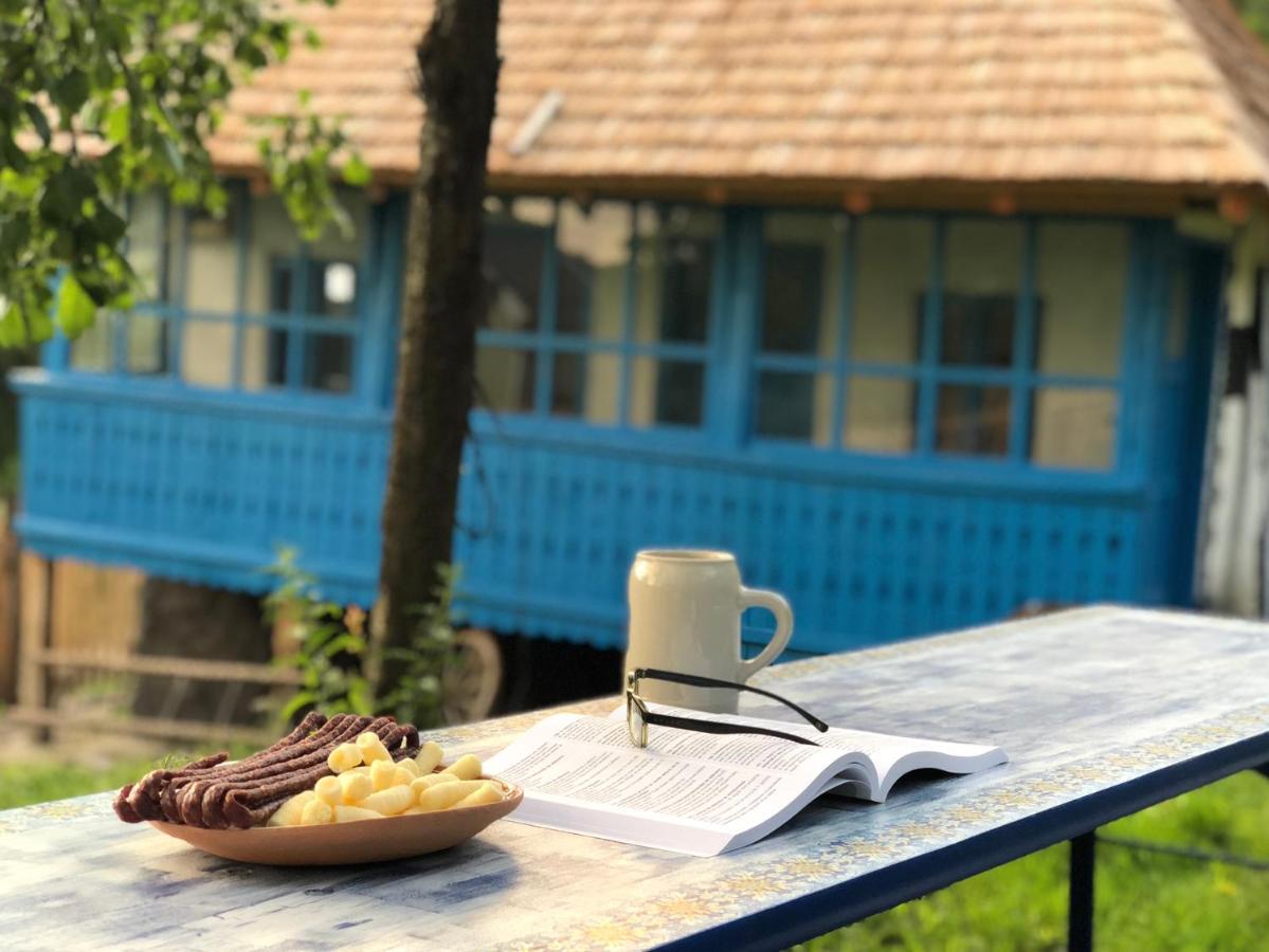Casa Albastra Villa Baile Olanesti Ngoại thất bức ảnh