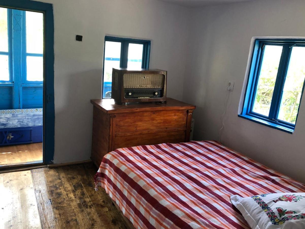 Casa Albastra Villa Baile Olanesti Ngoại thất bức ảnh